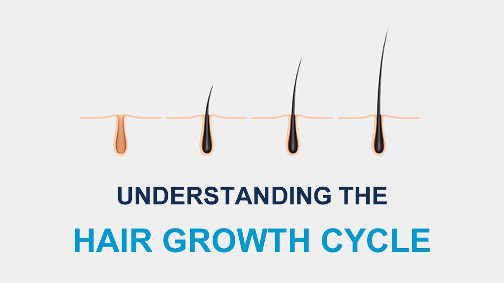 The Natural Cycle of Hair growth