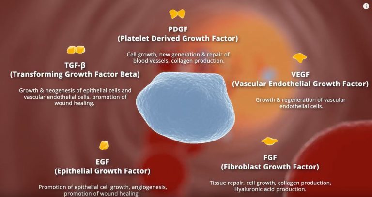 Enhanced Plasma Therapy Treatment For Hair Loss PRP Explained